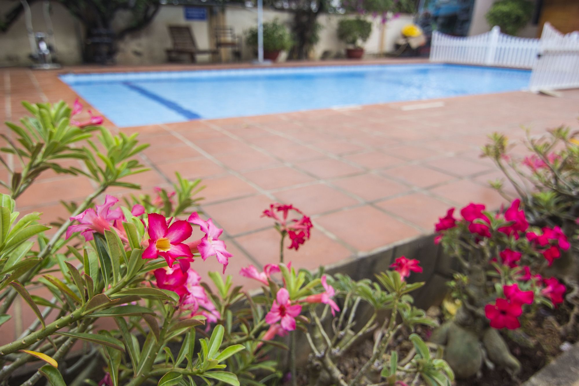 Song Hong Hotel Vung Tau Exterior photo